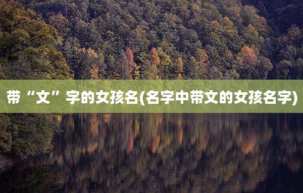 带“文”字的女孩名(名字中带文的女孩名字)