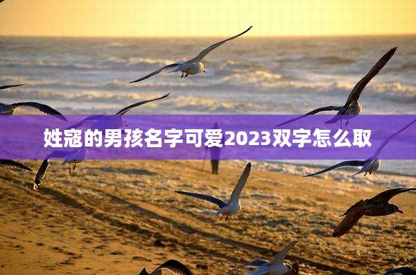 姓寇的男孩名字可爱2023双字怎么取