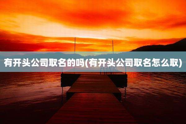 有开头公司取名的吗(有开头公司取名怎么取)