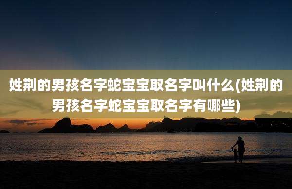 姓荆的男孩名字蛇宝宝取名字叫什么(姓荆的男孩名字蛇宝宝取名字有哪些)
