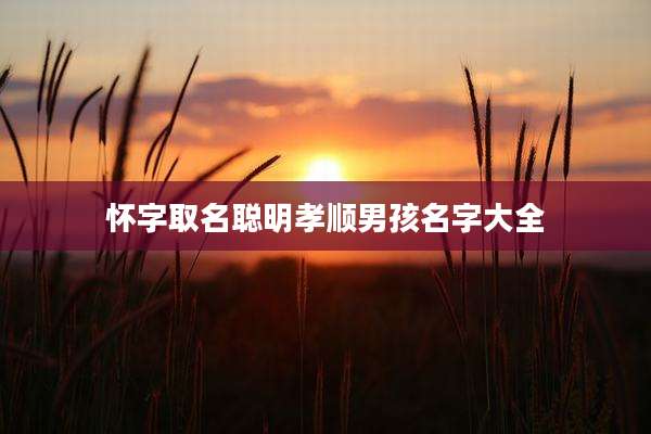 怀字取名聪明孝顺男孩名字大全