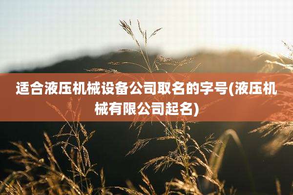 适合液压机械设备公司取名的字号(液压机械有限公司起名)
