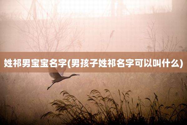 姓祁男宝宝名字(男孩子姓祁名字可以叫什么)