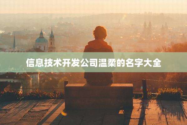 信息技术开发公司温柔的名字大全