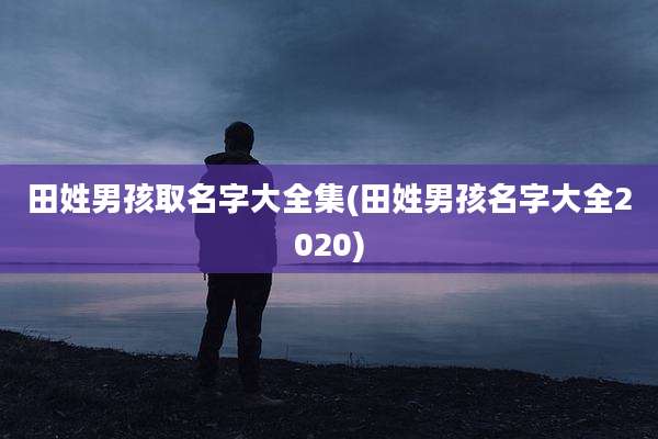 田姓男孩取名字大全集(田姓男孩名字大全2020)