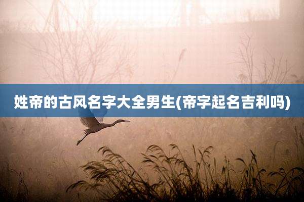 姓帝的古风名字大全男生(帝字起名吉利吗)