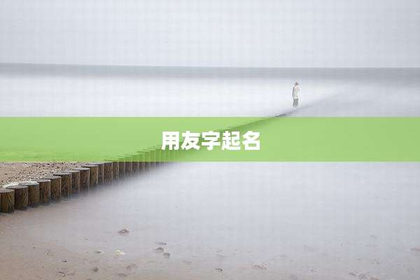 用友字起名