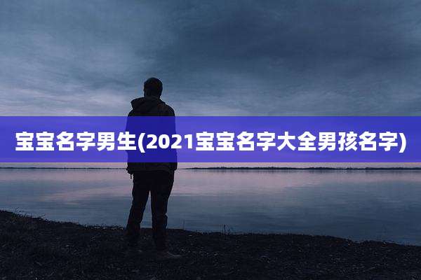 宝宝名字男生(2021宝宝名字大全男孩名字)