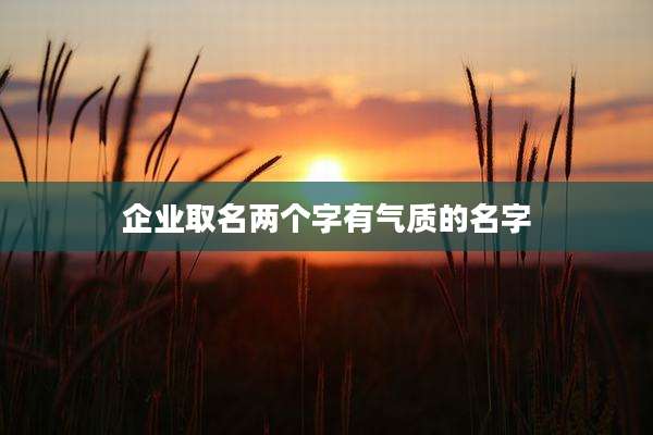 企业取名两个字有气质的名字
