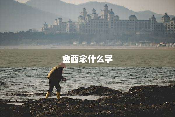 金西念什么字