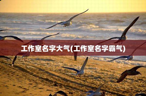 工作室名字大气(工作室名字霸气)