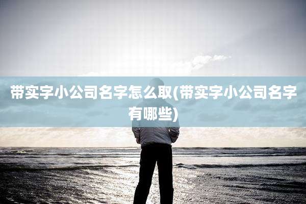 带实字小公司名字怎么取(带实字小公司名字有哪些)