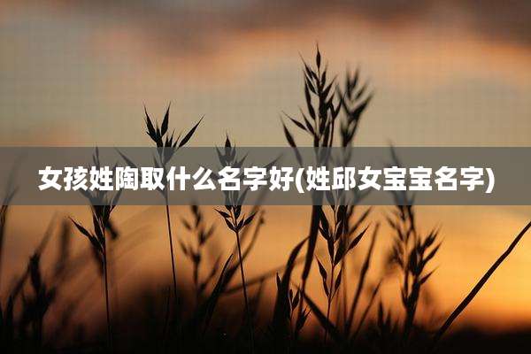 女孩姓陶取什么名字好(姓邱女宝宝名字)
