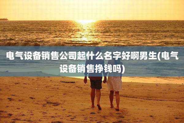 电气设备销售公司起什么名字好啊男生(电气设备销售挣钱吗)