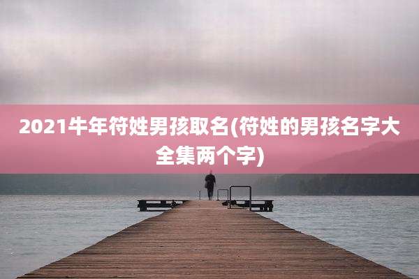 2021牛年符姓男孩取名(符姓的男孩名字大全集两个字)