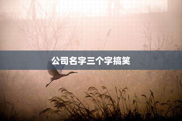 公司名字三个字搞笑