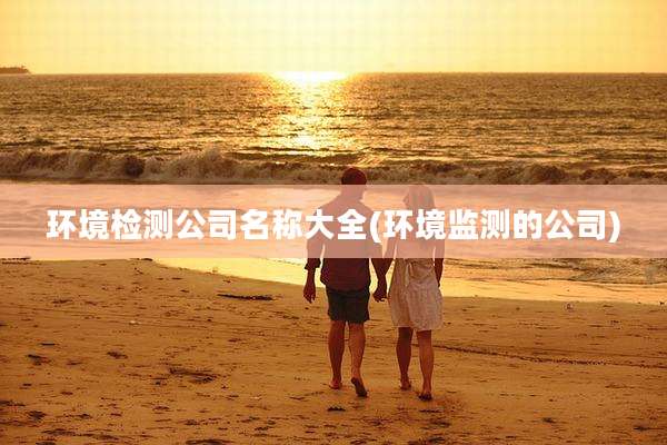 环境检测公司名称大全(环境监测的公司)