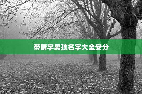 带晴字男孩名字大全安分