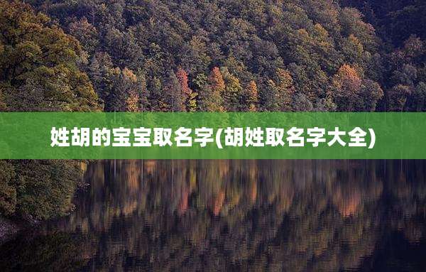 姓胡的宝宝取名字(胡姓取名字大全)