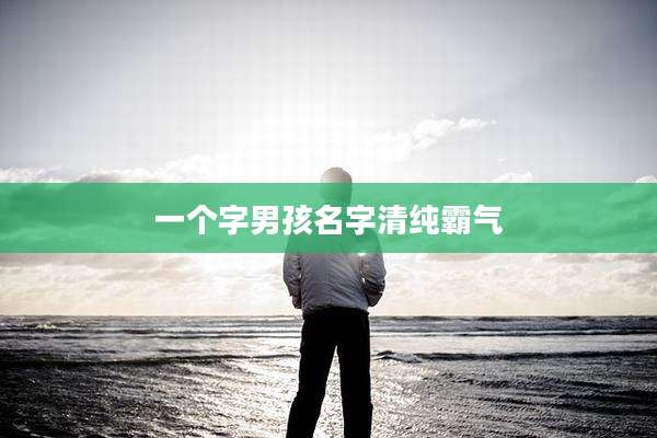 一个字男孩名字清纯霸气