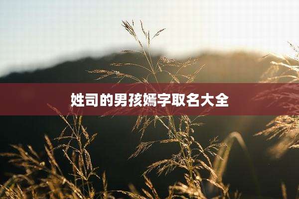 姓司的男孩嫣字取名大全