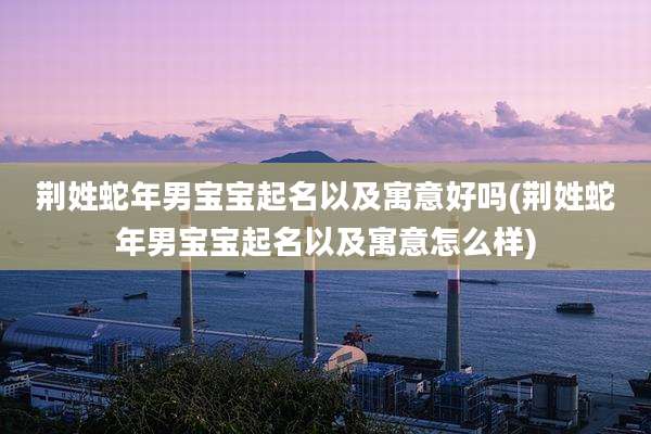 荆姓蛇年男宝宝起名以及寓意好吗(荆姓蛇年男宝宝起名以及寓意怎么样)