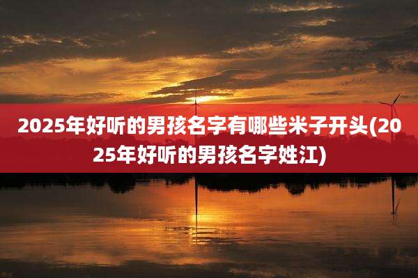 2025年好听的男孩名字有哪些米子开头(2025年好听的男孩名字姓江)