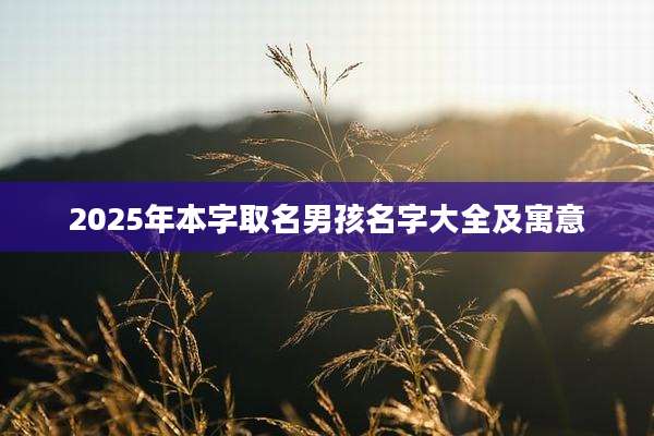 2025年本字取名男孩名字大全及寓意