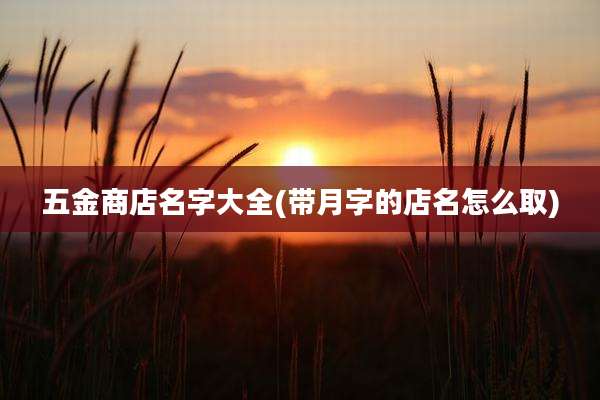 五金商店名字大全(带月字的店名怎么取)