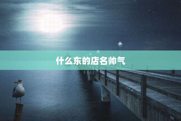 什么东的店名帅气