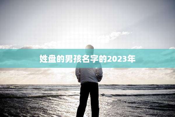 姓盘的男孩名字的2023年