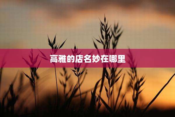 高雅的店名妙在哪里