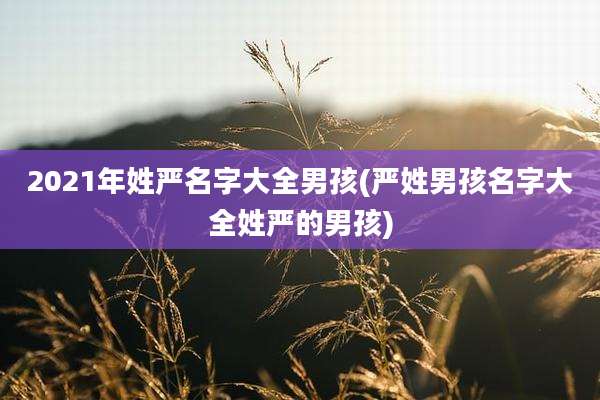 2021年姓严名字大全男孩(严姓男孩名字大全姓严的男孩)