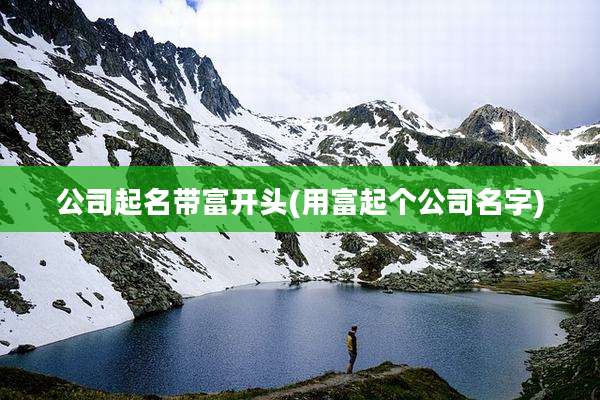 公司起名带富开头(用富起个公司名字)