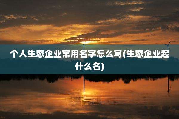 个人生态企业常用名字怎么写(生态企业起什么名)