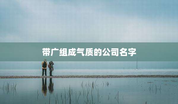 带广组成气质的公司名字