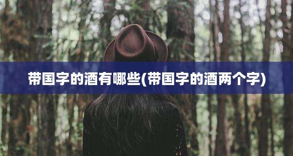 带国字的酒有哪些(带国字的酒两个字)