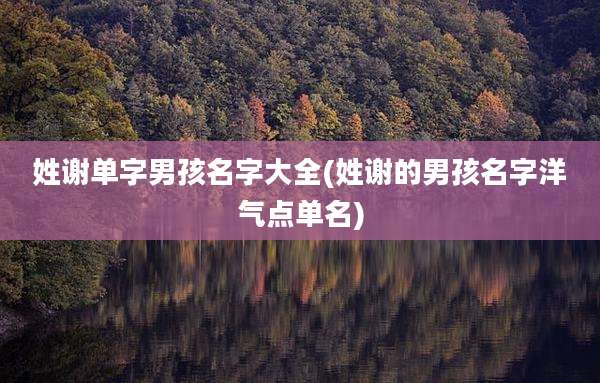 姓谢单字男孩名字大全(姓谢的男孩名字洋气点单名)