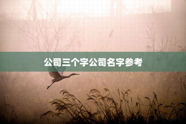 公司三个字公司名字参考