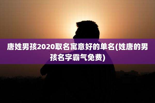 唐姓男孩2020取名寓意好的单名(姓唐的男孩名字霸气免费)