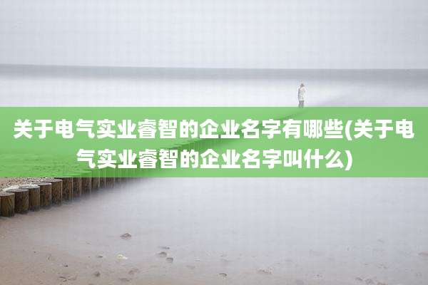 关于电气实业睿智的企业名字有哪些(关于电气实业睿智的企业名字叫什么)