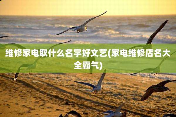 维修家电取什么名字好文艺(家电维修店名大全霸气)