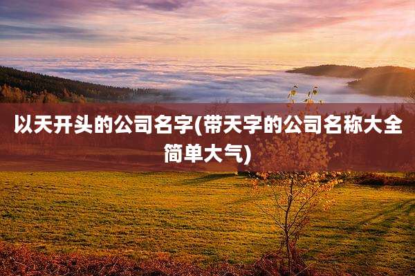 以天开头的公司名字(带天字的公司名称大全简单大气)
