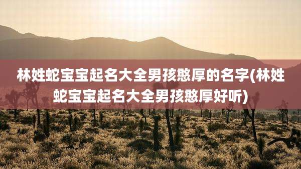 林姓蛇宝宝起名大全男孩憨厚的名字(林姓蛇宝宝起名大全男孩憨厚好听)