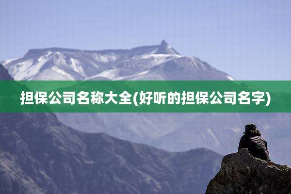 担保公司名称大全(好听的担保公司名字)