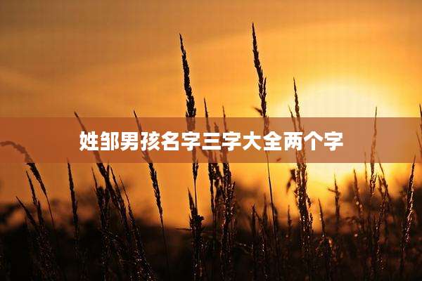姓邹男孩名字三字大全两个字