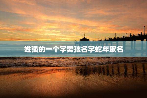 姓强的一个字男孩名字蛇年取名
