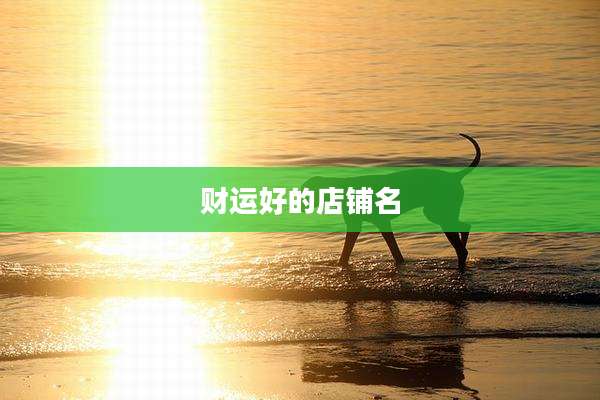 财运好的店铺名