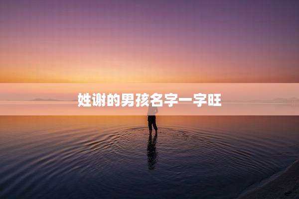 姓谢的男孩名字一字旺