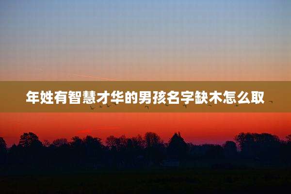 年姓有智慧才华的男孩名字缺木怎么取